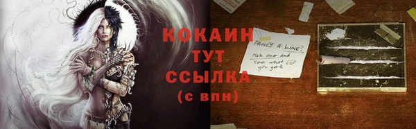 меф Гусев