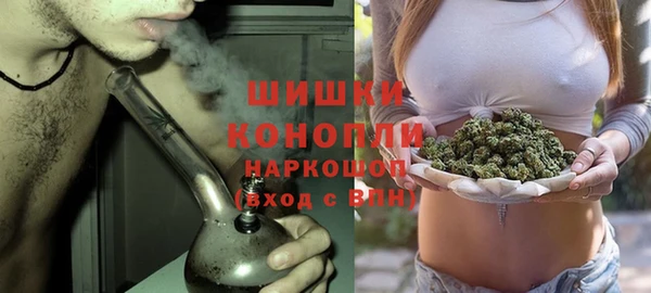 стаф Дмитриев