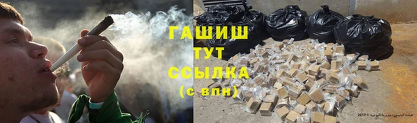 стаф Дмитриев