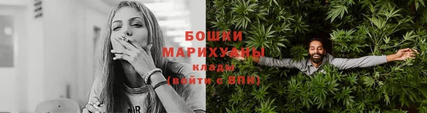 дмт Дмитров