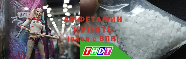 хмурый Гусь-Хрустальный