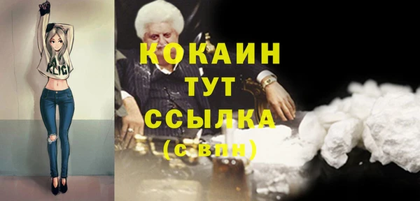 дмт Дмитров