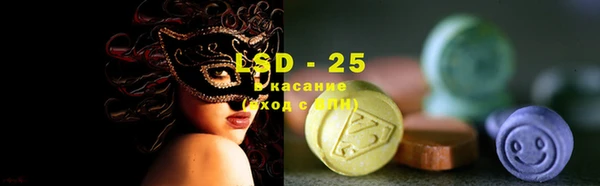 стаф Дмитриев