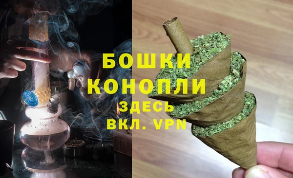 стаф Дмитриев