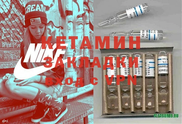 стаф Дмитриев