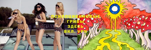 хмурый Гусь-Хрустальный