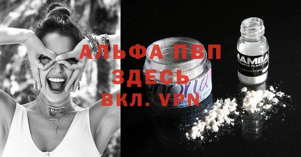 хмурый Гусь-Хрустальный