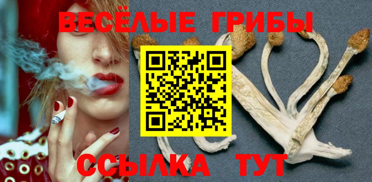 Дивногорск  Галлюциногенные грибы Cubensis  Вход с VPN 